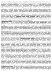 Pasiruošimas hidraulikos egzaminui 5 puslapis