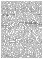 Pasiruošimas hidraulikos egzaminui 6 puslapis