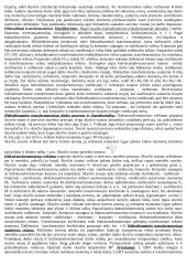 Pasiruošimas hidraulikos egzaminui 7 puslapis