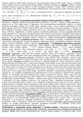 Pasiruošimas hidraulikos egzaminui 8 puslapis