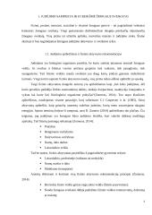 Judėjimo reikšmė vaiko organizmui 4 puslapis