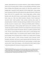 Turistinių paslaugų teikimo sutartis 13 puslapis