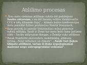 Saulės aktyvumas ir jo įtaka Žemėje 8 puslapis