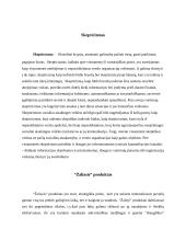 Ryšys tarp skepticizmo ir ketinimo pirkti pasirinktas „žaliąsias“ prekes 5 puslapis