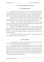 Ugdymo ir socializacijos ryšys 3 puslapis