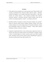 Ugdymo ir socializacijos ryšys 8 puslapis