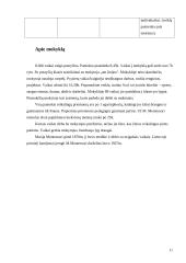 Ugdymo metodikų praktika. Dienoraštis 11 puslapis