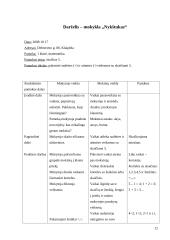 Ugdymo metodikų praktika. Dienoraštis 12 puslapis