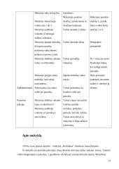 Ugdymo metodikų praktika. Dienoraštis 13 puslapis