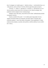 Ugdymo metodikų praktika. Dienoraštis 14 puslapis