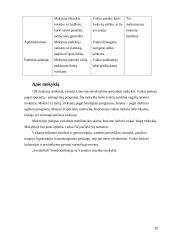 Ugdymo metodikų praktika. Dienoraštis 20 puslapis