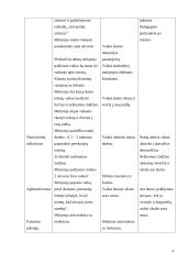 Ugdymo metodikų praktika. Dienoraštis 4 puslapis
