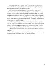 Ugdymo metodikų praktika. Dienoraštis 8 puslapis