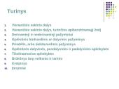  Vientisinio sakinio skyryba-taisyklės 2 puslapis