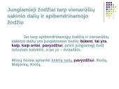  Vientisinio sakinio skyryba-taisyklės 12 puslapis