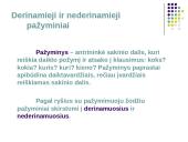  Vientisinio sakinio skyryba-taisyklės 13 puslapis