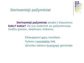  Vientisinio sakinio skyryba-taisyklės 14 puslapis