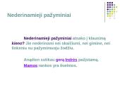  Vientisinio sakinio skyryba-taisyklės 15 puslapis