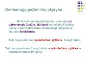  Vientisinio sakinio skyryba-taisyklės 16 puslapis