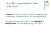  Vientisinio sakinio skyryba-taisyklės 20 puslapis