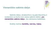  Vientisinio sakinio skyryba-taisyklės 3 puslapis