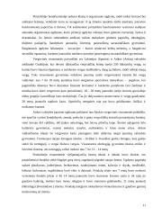 Ugdymo strategija ir taktika 10 puslapis