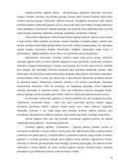 Ugdymo strategija ir taktika 11 puslapis