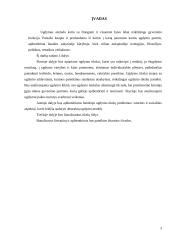 Ugdymo strategija ir taktika 2 puslapis