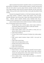 Ugdymo strategija ir taktika 4 puslapis