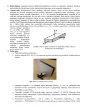 Kietų dielektrikų dielektrinės skvarbos analizė 2 puslapis