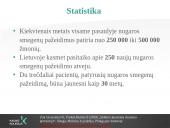 Reabilitacija po nugaros smegenų pažeidimo 2 puslapis