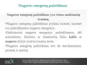 Reabilitacija po nugaros smegenų pažeidimo 4 puslapis