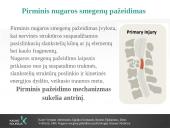 Reabilitacija po nugaros smegenų pažeidimo 5 puslapis