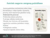 Reabilitacija po nugaros smegenų pažeidimo 6 puslapis