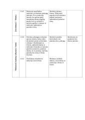 Teisės pagrindų ugdomoji pamokos analizė 4 puslapis