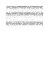 Motinos paveikslas literatūroje - Šatrijos Ragana, Savickis 2 puslapis