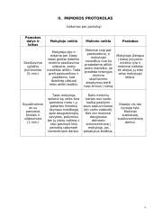 Matematikos ugdomoji pamokos analizė 4 puslapis