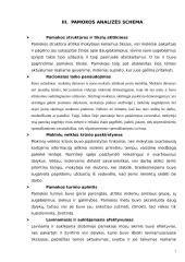 Matematikos ugdomoji pamokos analizė 7 puslapis