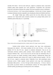 AB „Snaigė“ veiklos analizė 12 puslapis