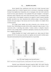 AB „Snaigė“ veiklos analizė 13 puslapis