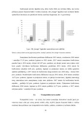 AB „Snaigė“ veiklos analizė 15 puslapis