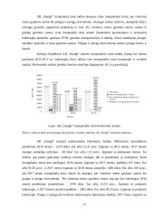 AB „Snaigė“ veiklos analizė 16 puslapis