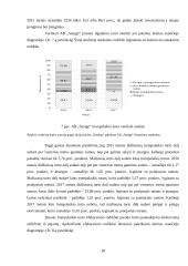 AB „Snaigė“ veiklos analizė 17 puslapis