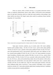 AB „Snaigė“ veiklos analizė 19 puslapis