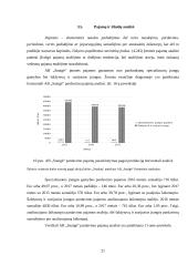 AB „Snaigė“ veiklos analizė 20 puslapis