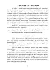 AB „Snaigė“ veiklos analizė 6 puslapis