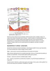 Augalų bei gyvūnų dauginimasis 5 puslapis