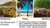 Fiji Islands 10 puslapis
