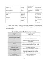 UAB „Sėdimaišas“ verslo planas 10 puslapis