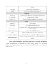 UAB „Sėdimaišas“ verslo planas 13 puslapis